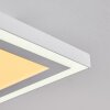 Plafonnier Salamo LED Blanc, 2 lumières