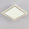 Plafonnier Salamo LED Blanc, 2 lumières