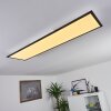 Plafonnier Nexo LED Noir, 1 lumière, Télécommandes