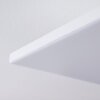 Plafonnier Salamo LED Blanc, 1 lumière, Télécommandes