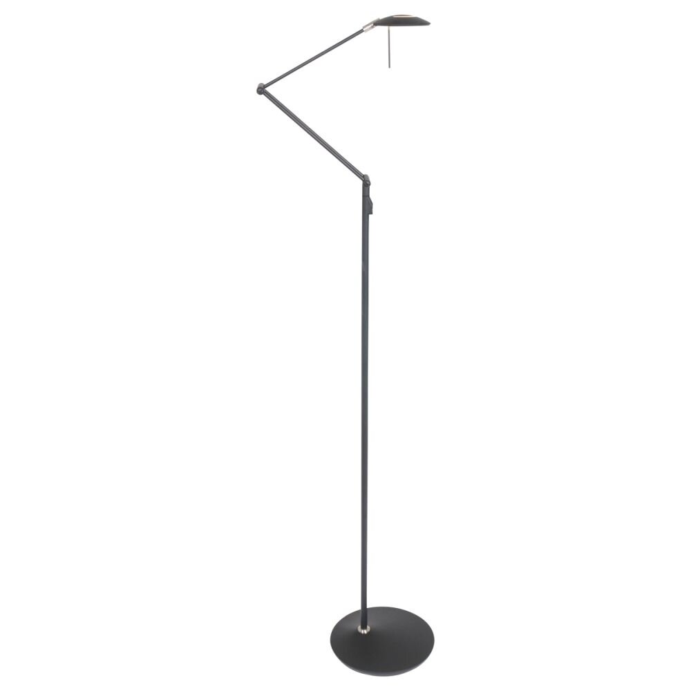 Lampadaire Steinhauer Zodiac LED Noir, 2 lumières main product photo