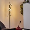 Lampadaire Lavaca LED Noir, 2 lumières