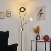Lampadaire Tierz LED Laiton, 2 lumières