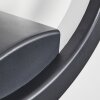 Applique murale Nevis LED Anthracite, 1 lumière