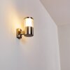 Applique murale d'extérieur Leon LED Nickel mat, 1 lumière