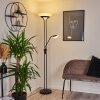 Lampadaire Mairoa LED Noir, 2 lumières