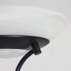 Lampadaire Mairoa LED Noir, 2 lumières