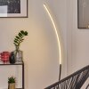 Lampadaire Nagu LED Noir, 1 lumière