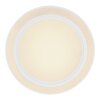 Plafonnier Globo DAHLA LED Blanc, 1 lumière, Changeur de couleurs