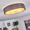 Plafonnier Elsa LED Blanc, 1 lumière