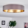 Plafonnier Elsa LED Blanc, 1 lumière