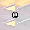 Panneau LED Badia Blanc, 2 lumières