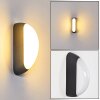 Applique murale d'extérieur Arvier LED Noir, 1 lumière