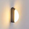 Applique murale d'extérieur Arvier LED Noir, 1 lumière