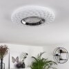 Plafonnier Roseto LED Chrome, Transparent, Blanc, 1 lumière, Télécommandes