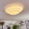 Plafonnier Roseto LED Transparent, Blanc, 1 lumière, Télécommandes