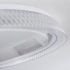 Plafonnier Feletto LED Transparent, Blanc, 1 lumière, Télécommandes