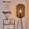 Lampadaire Quinto Noir, 1 lumière