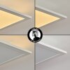 Panneau LED Nexo Blanc, 2 lumières