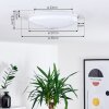 Plafonnier Rosenga LED Blanc, 1 lumière, Télécommandes