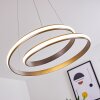 Suspension Rokera LED Nickel mat, 1 lumière