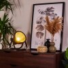 Lampe de table Oghu Noir, 1 lumière