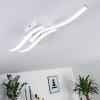 Plafonnier Letala LED Blanc, 3 lumières