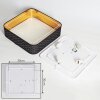 Plafonnier Tallaboa Noir, Blanc, 1 lumière