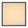 Plafonnier Globo DORO LED Blanc, 1 lumière