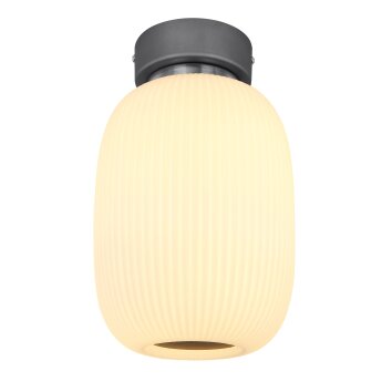 Plafonnier Globo LED Anthracite, Nickel mat, 1 lumière