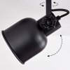 Plafonnier Juliboy Noir, 4 lumières