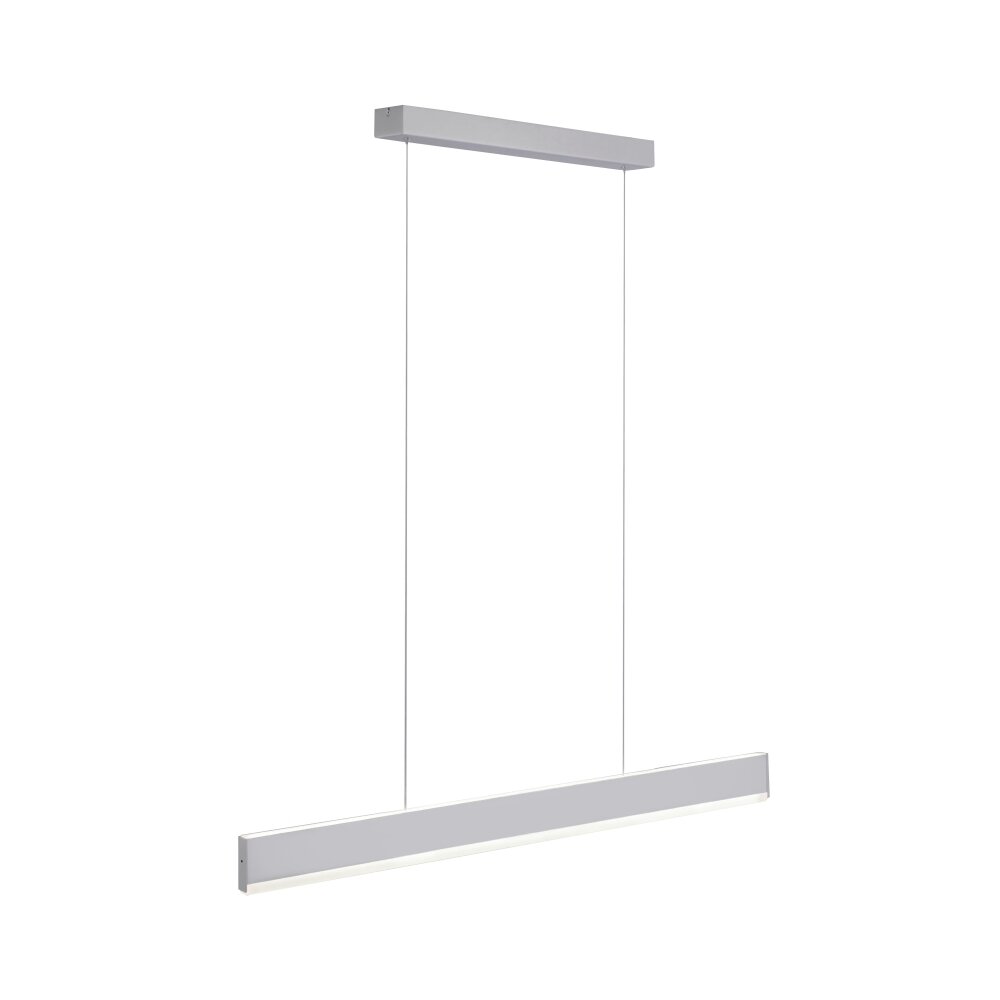 Suspension Paul Neuhaus ARINA LED Acier inoxydable, 2 lumières, Détecteur de mouvement main product photo