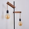 Lampadaire Aarhus Bois foncé, Noir, 2 lumières