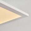 Plafonnier Salmi LED Blanc, 1 lumière, Télécommandes