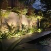 Philips Hue White and Color Ambiance Amarant LED Noir, 1 lumière, Changeur de couleurs