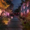 Philips Hue White and Color Ambiance Amarant LED Noir, 1 lumière, Changeur de couleurs