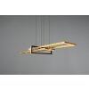Suspension Trio Salinas LED Noir, 1 lumière