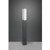 Borne lumineuse Trio Fuerte LED Anthracite, 1 lumière