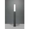 Borne lumineuse Trio Fuerte LED Anthracite, 1 lumière