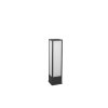 Borne lumineuse Trio Fuerte LED Anthracite, 1 lumière
