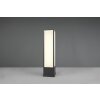 Borne lumineuse Trio Fuerte LED Anthracite, 1 lumière