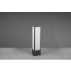 Borne lumineuse Trio Fuerte LED Anthracite, 1 lumière