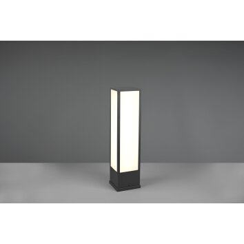 Borne lumineuse Trio Fuerte LED Anthracite, 1 lumière