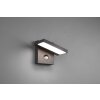 Applique murale d'extérieur Trio Horton LED Anthracite, 1 lumière, Détecteur de mouvement