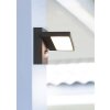Applique murale d'extérieur Trio Horton LED Anthracite, 1 lumière, Détecteur de mouvement