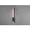 Applique murale d'extérieur Trio Tawa LED Anthracite, 1 lumière