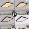 Panneau LED Boyero Noir, 1 lumière