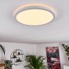 Panneau LED Boyero Blanc, 1 lumière