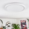 Panneau LED Boyero Blanc, 1 lumière