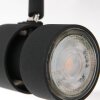 Plafonnier Steinhauer Natasja LED Noir, 6 lumières Plafonnier Steinhauer Natasja LED Noir, 6 lumières